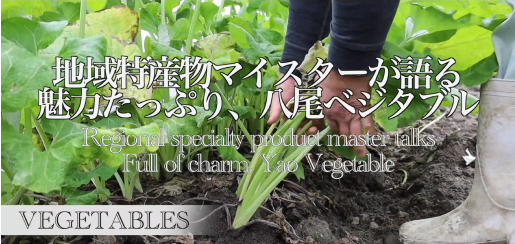 Local Specialty Masters Share the Abundant Charms of Yao Vegetables